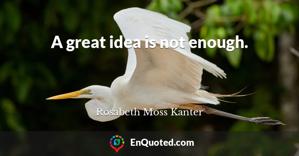 A great idea is not enough.