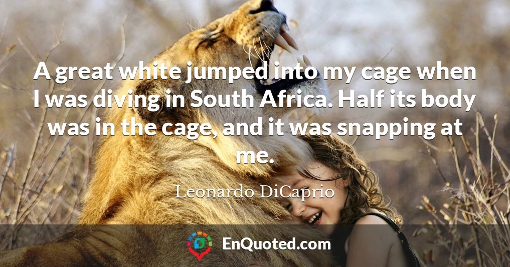 A great white jumped into my cage when I was diving in South Africa. Half its body was in the cage, and it was snapping at me.