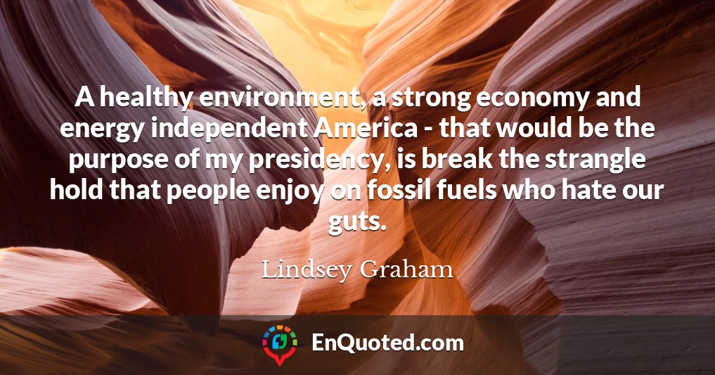 A healthy environment, a strong economy and energy independent America - that would be the purpose of my presidency, is break the strangle hold that people enjoy on fossil fuels who hate our guts.