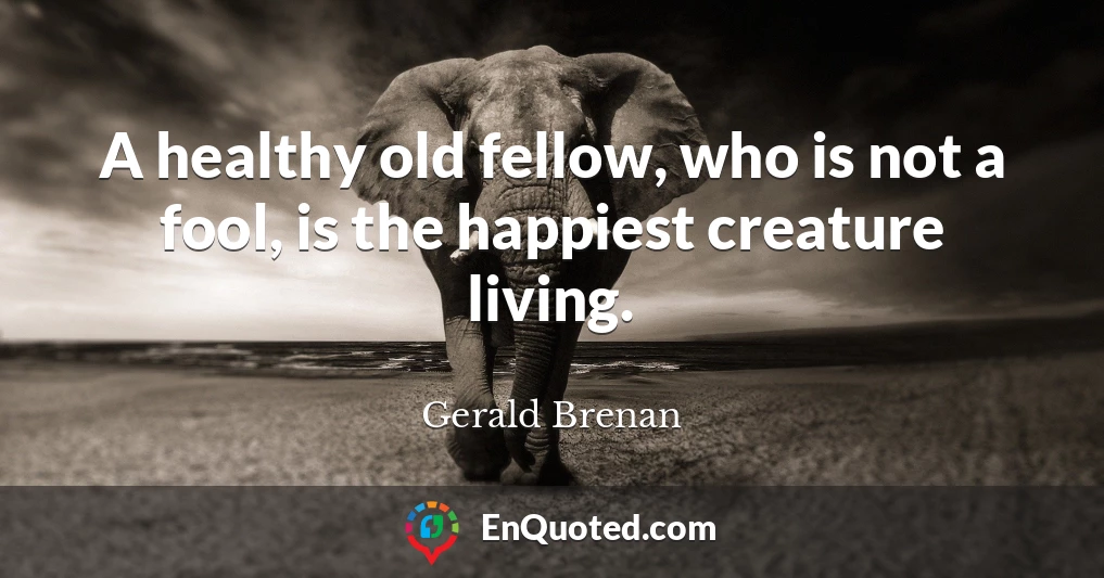 A healthy old fellow, who is not a fool, is the happiest creature living.