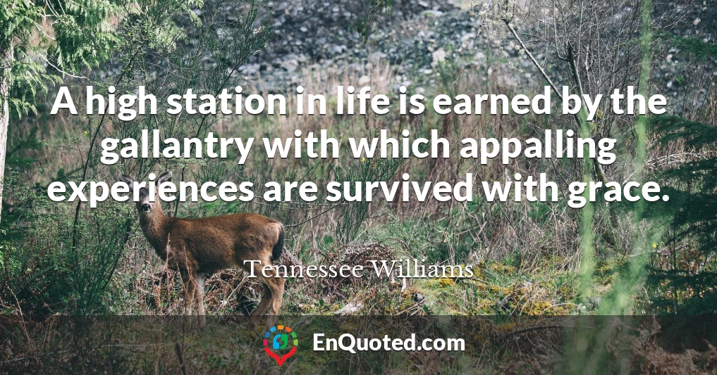 A high station in life is earned by the gallantry with which appalling experiences are survived with grace.