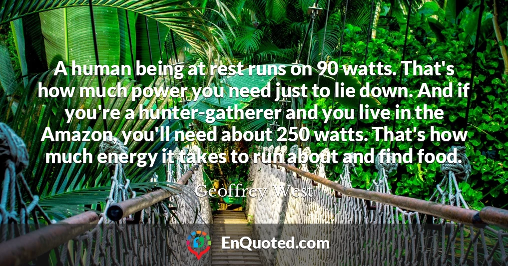 A human being at rest runs on 90 watts. That's how much power you need just to lie down. And if you're a hunter-gatherer and you live in the Amazon, you'll need about 250 watts. That's how much energy it takes to run about and find food.