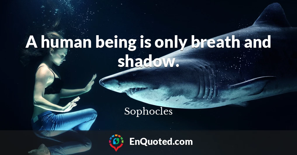 A human being is only breath and shadow.