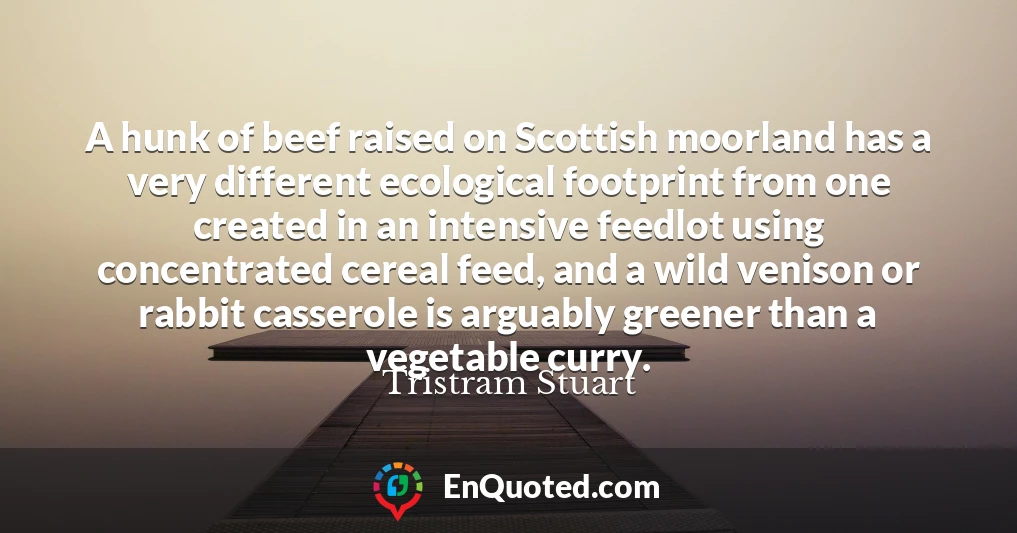 A hunk of beef raised on Scottish moorland has a very different ecological footprint from one created in an intensive feedlot using concentrated cereal feed, and a wild venison or rabbit casserole is arguably greener than a vegetable curry.