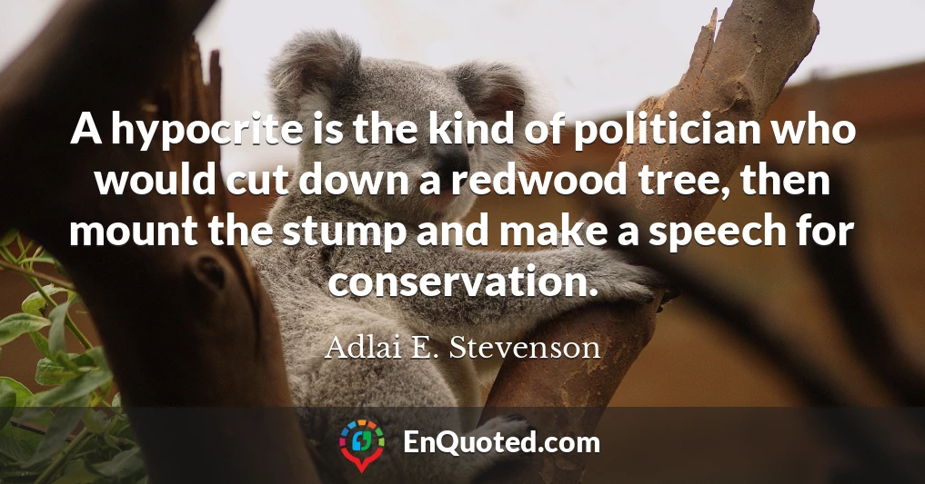 A hypocrite is the kind of politician who would cut down a redwood tree, then mount the stump and make a speech for conservation.