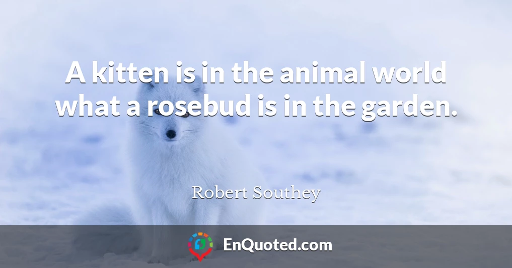 A kitten is in the animal world what a rosebud is in the garden.