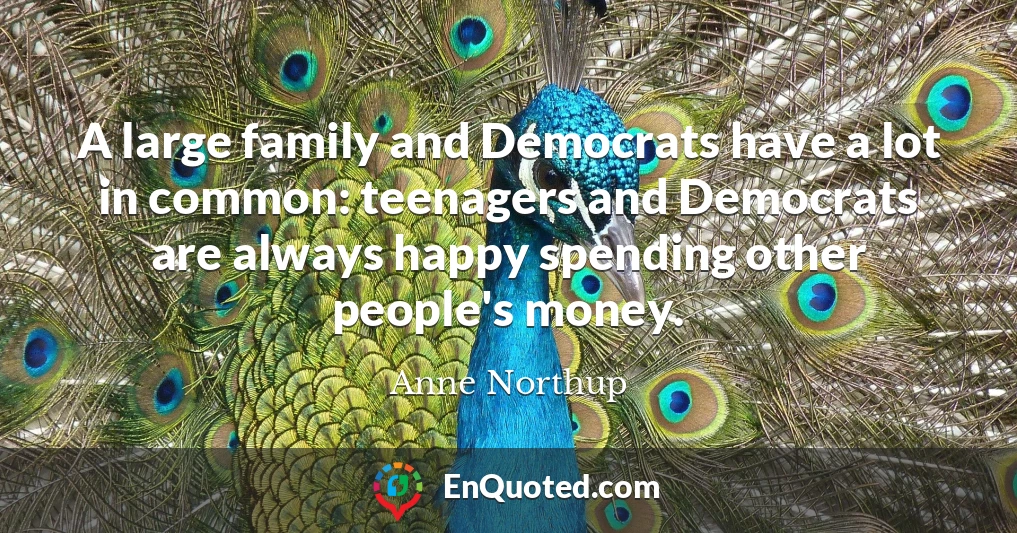 A large family and Democrats have a lot in common: teenagers and Democrats are always happy spending other people's money.