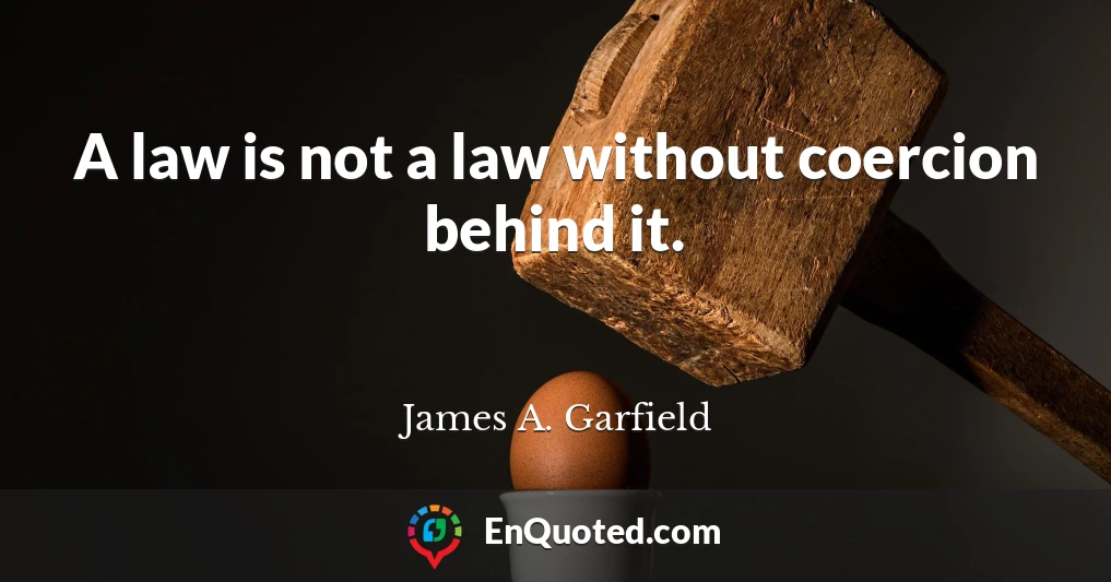 A law is not a law without coercion behind it.
