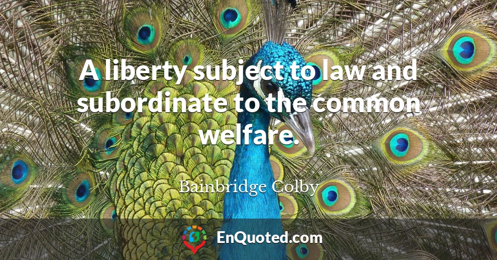 A liberty subject to law and subordinate to the common welfare.
