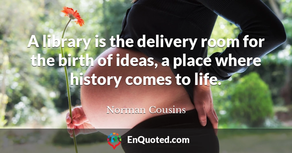 A library is the delivery room for the birth of ideas, a place where history comes to life.