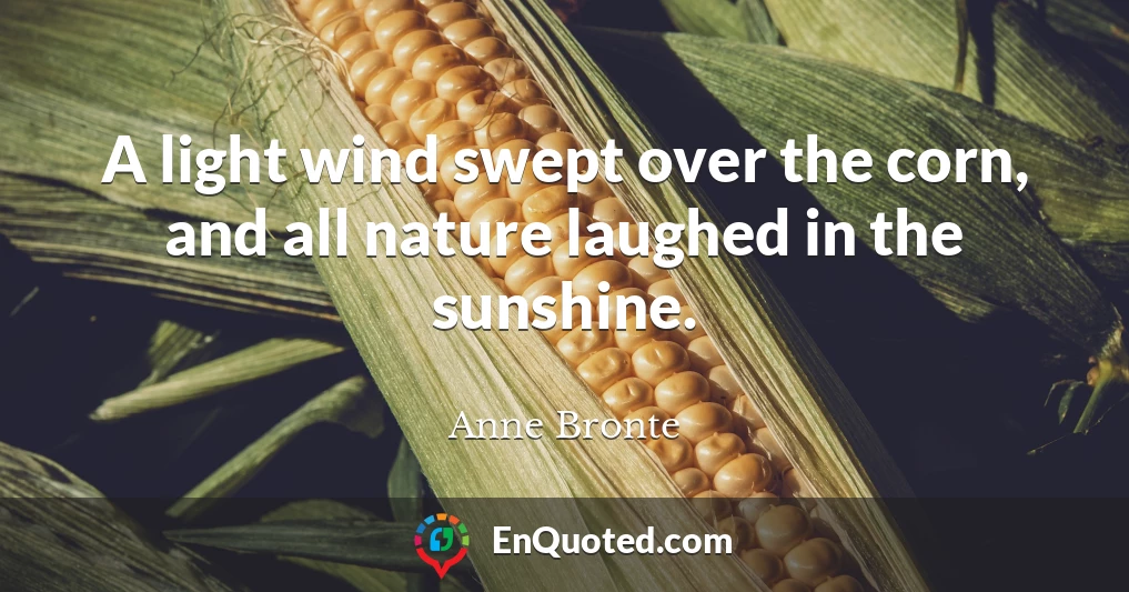 A light wind swept over the corn, and all nature laughed in the sunshine.