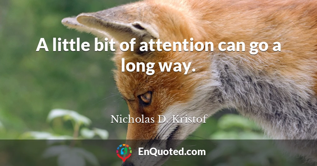 A little bit of attention can go a long way.