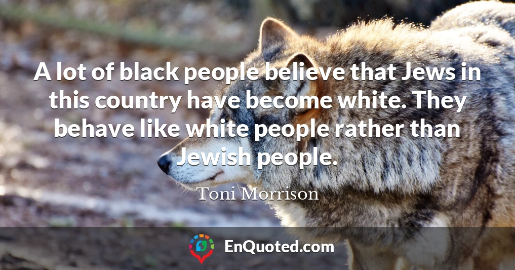 A lot of black people believe that Jews in this country have become white. They behave like white people rather than Jewish people.