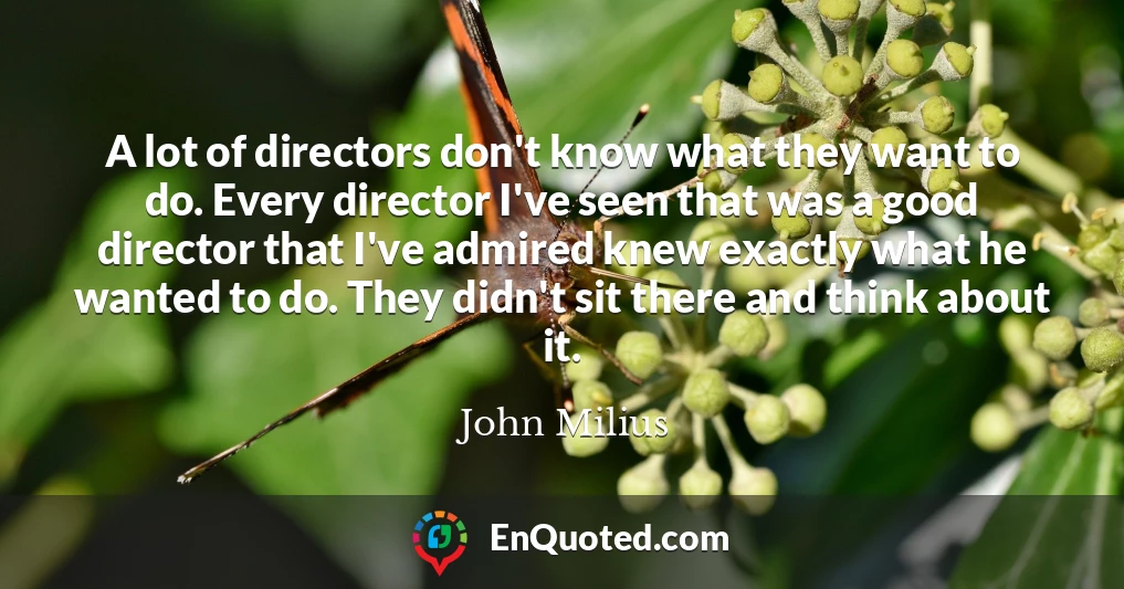 A lot of directors don't know what they want to do. Every director I've seen that was a good director that I've admired knew exactly what he wanted to do. They didn't sit there and think about it.