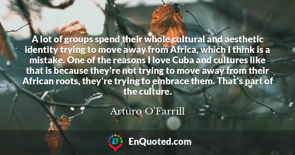 A lot of groups spend their whole cultural and aesthetic identity trying to move away from Africa, which I think is a mistake. One of the reasons I love Cuba and cultures like that is because they're not trying to move away from their African roots, they're trying to embrace them. That's part of the culture.