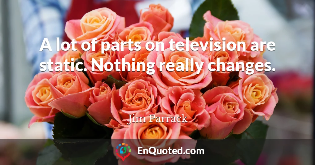 A lot of parts on television are static. Nothing really changes.