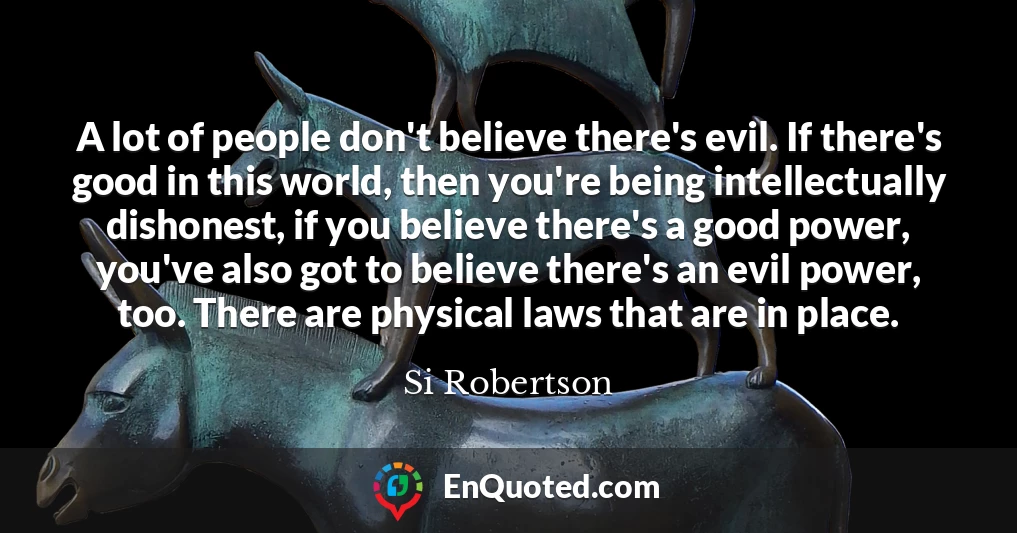 A lot of people don't believe there's evil. If there's good in this world, then you're being intellectually dishonest, if you believe there's a good power, you've also got to believe there's an evil power, too. There are physical laws that are in place.