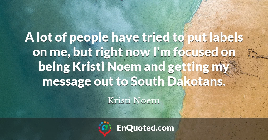 A lot of people have tried to put labels on me, but right now I'm focused on being Kristi Noem and getting my message out to South Dakotans.