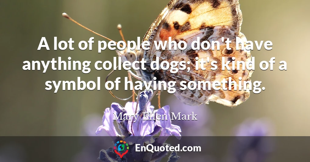 A lot of people who don't have anything collect dogs; it's kind of a symbol of having something.