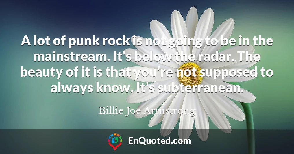 A lot of punk rock is not going to be in the mainstream. It's below the radar. The beauty of it is that you're not supposed to always know. It's subterranean.
