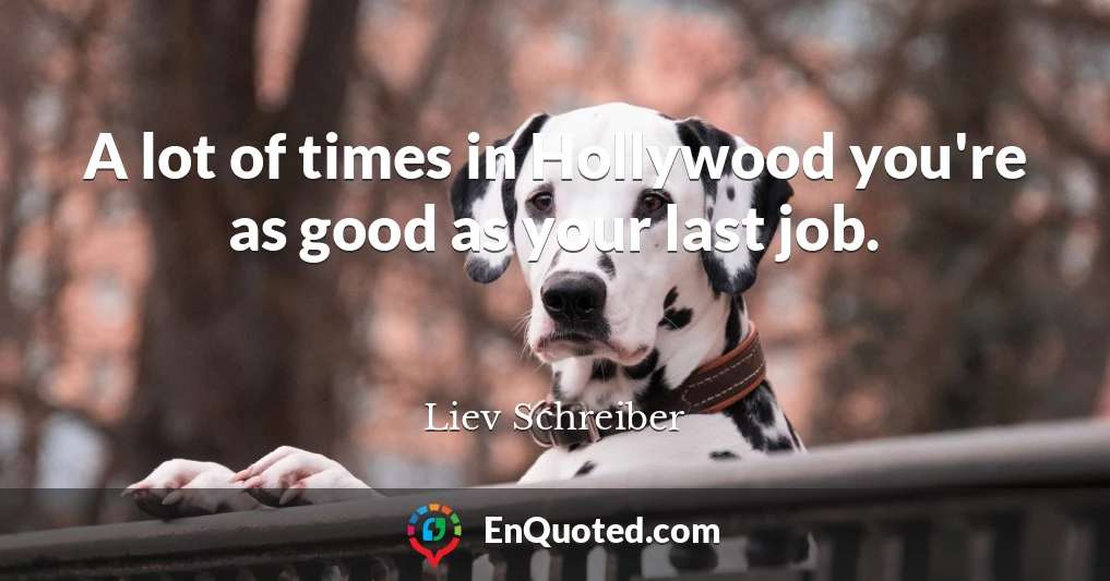 A lot of times in Hollywood you're as good as your last job.