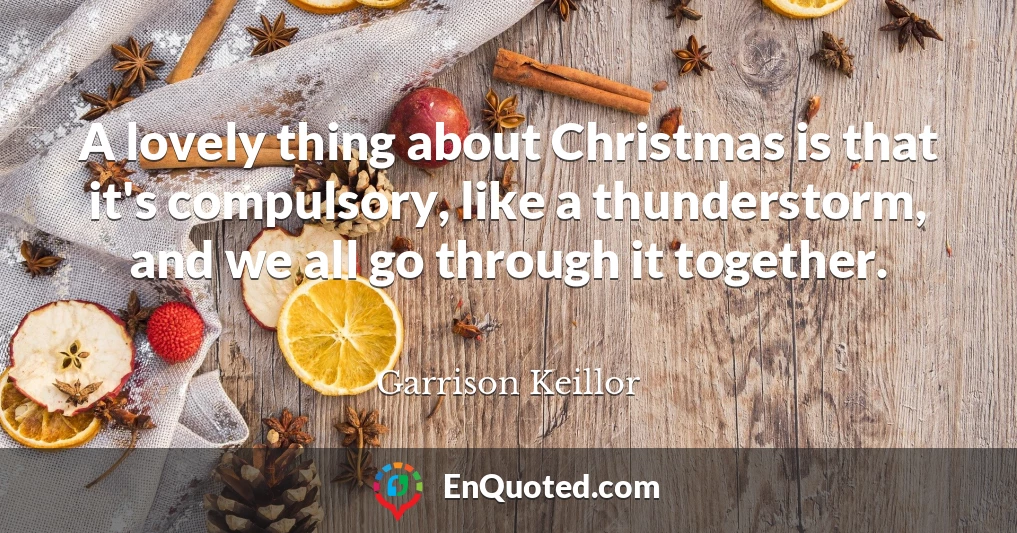 A lovely thing about Christmas is that it's compulsory, like a thunderstorm, and we all go through it together.