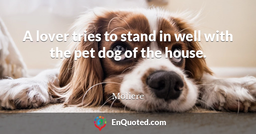 A lover tries to stand in well with the pet dog of the house.