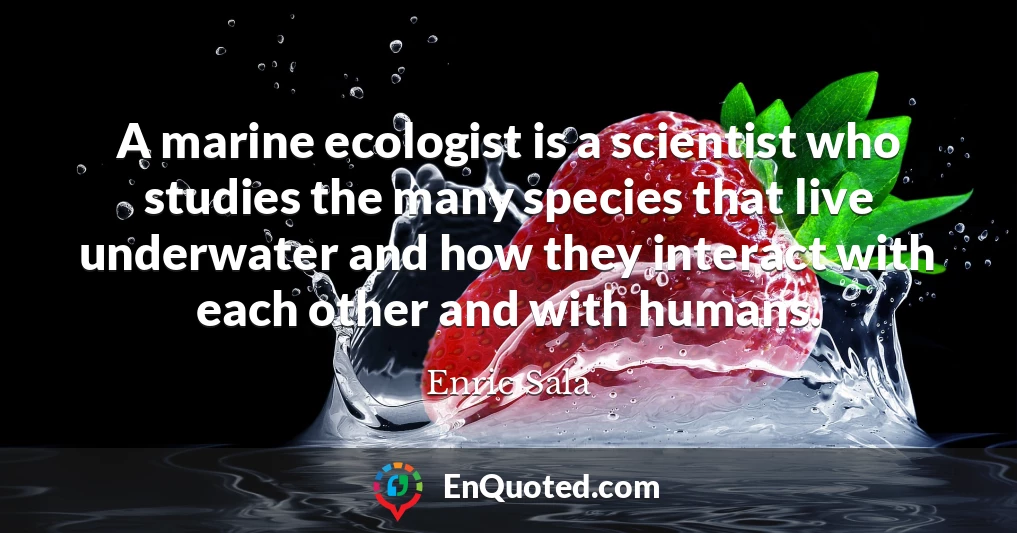 A marine ecologist is a scientist who studies the many species that live underwater and how they interact with each other and with humans.