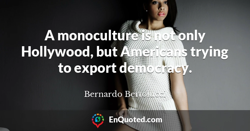 A monoculture is not only Hollywood, but Americans trying to export democracy.