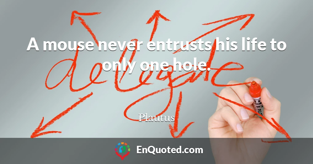 A mouse never entrusts his life to only one hole.