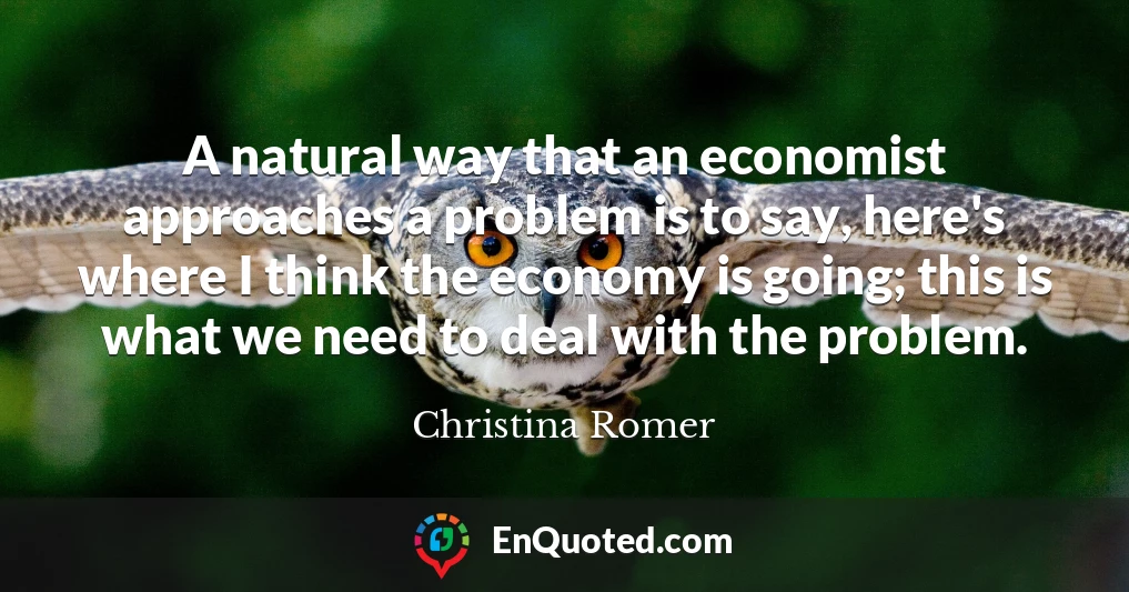 A natural way that an economist approaches a problem is to say, here's where I think the economy is going; this is what we need to deal with the problem.
