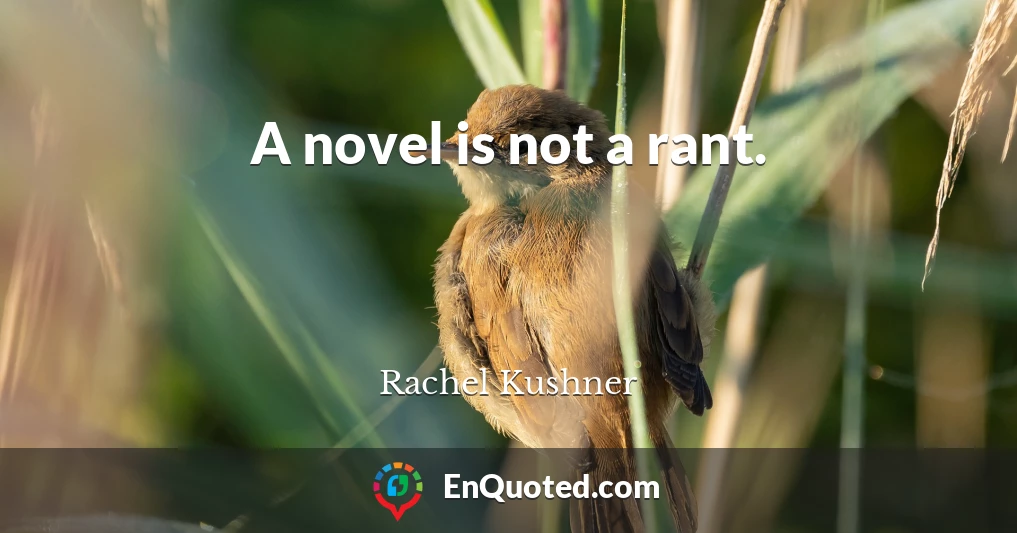 A novel is not a rant.