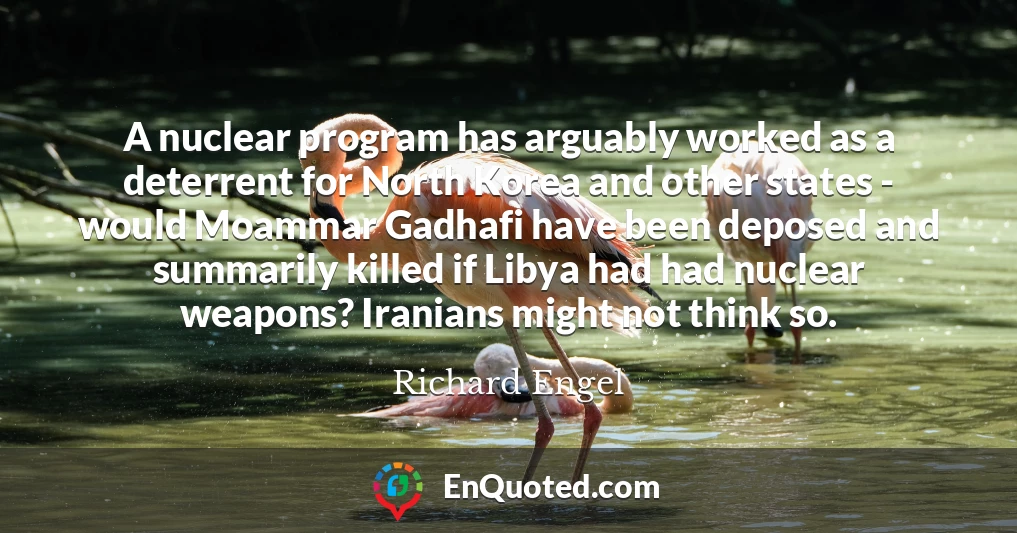 A nuclear program has arguably worked as a deterrent for North Korea and other states - would Moammar Gadhafi have been deposed and summarily killed if Libya had had nuclear weapons? Iranians might not think so.
