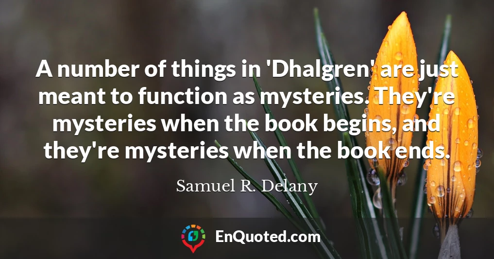 A number of things in 'Dhalgren' are just meant to function as mysteries. They're mysteries when the book begins, and they're mysteries when the book ends.
