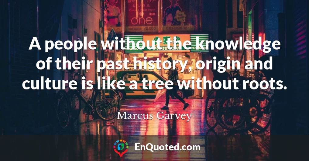 A people without the knowledge of their past history, origin and culture is like a tree without roots.