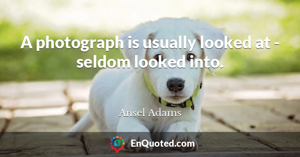 A photograph is usually looked at - seldom looked into.