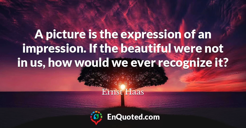 A picture is the expression of an impression. If the beautiful were not in us, how would we ever recognize it?