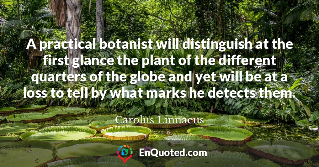 A practical botanist will distinguish at the first glance the plant of the different quarters of the globe and yet will be at a loss to tell by what marks he detects them.