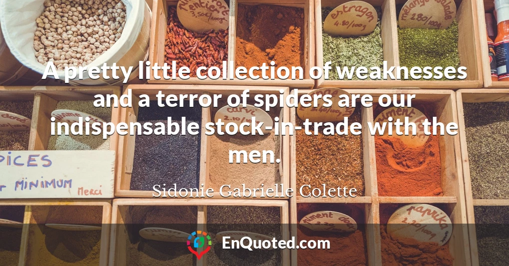 A pretty little collection of weaknesses and a terror of spiders are our indispensable stock-in-trade with the men.