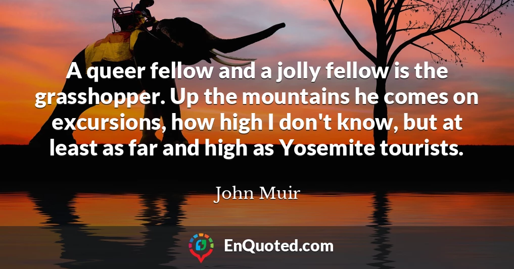 A queer fellow and a jolly fellow is the grasshopper. Up the mountains he comes on excursions, how high I don't know, but at least as far and high as Yosemite tourists.