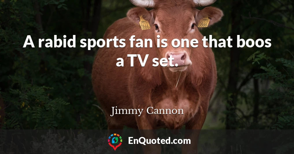 A rabid sports fan is one that boos a TV set.