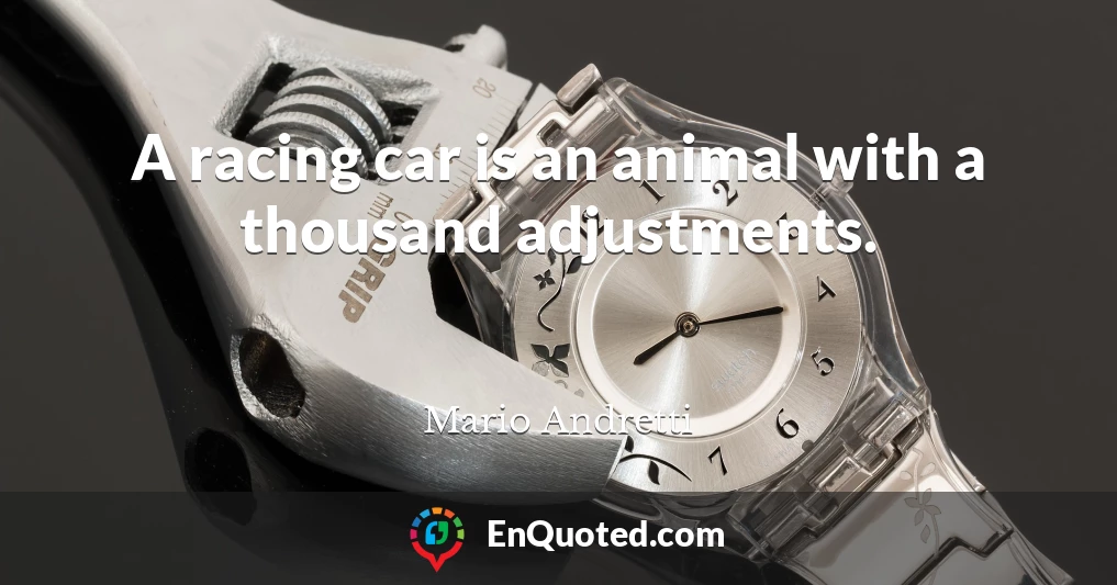 A racing car is an animal with a thousand adjustments.