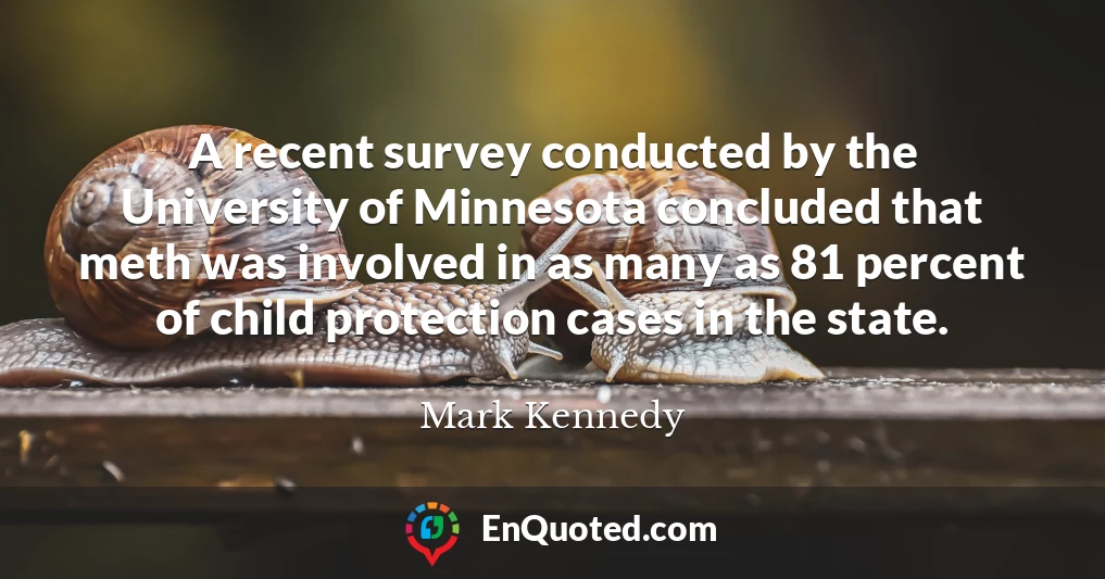 A recent survey conducted by the University of Minnesota concluded that meth was involved in as many as 81 percent of child protection cases in the state.