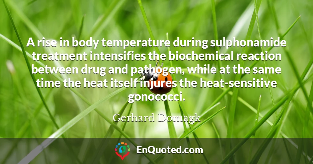 A rise in body temperature during sulphonamide treatment intensifies the biochemical reaction between drug and pathogen, while at the same time the heat itself injures the heat-sensitive gonococci.