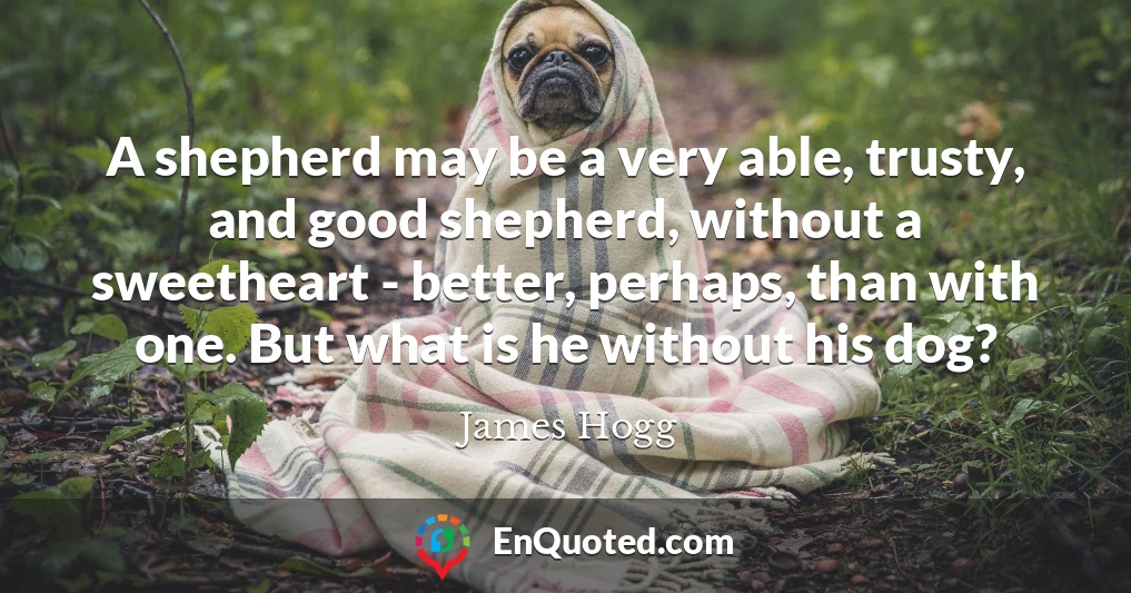 A shepherd may be a very able, trusty, and good shepherd, without a sweetheart - better, perhaps, than with one. But what is he without his dog?