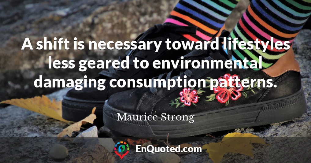 A shift is necessary toward lifestyles less geared to environmental damaging consumption patterns.