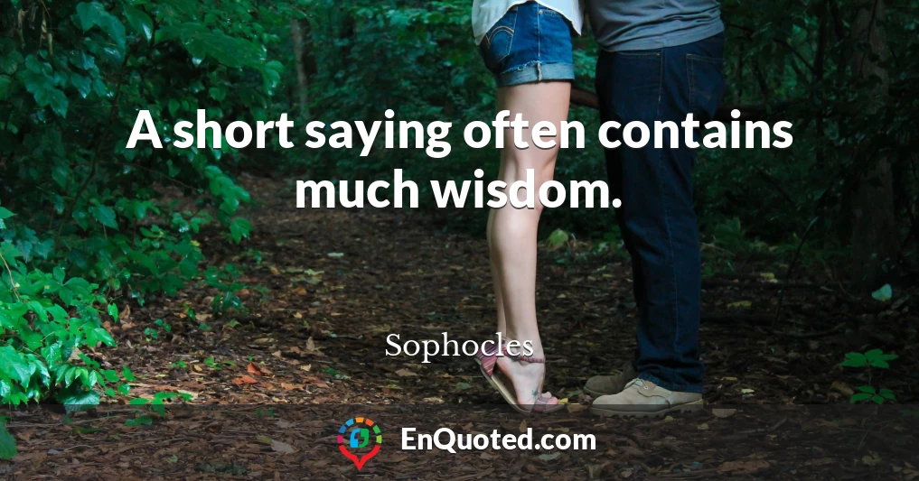A short saying often contains much wisdom.