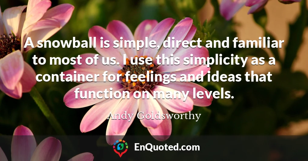 A snowball is simple, direct and familiar to most of us. I use this simplicity as a container for feelings and ideas that function on many levels.