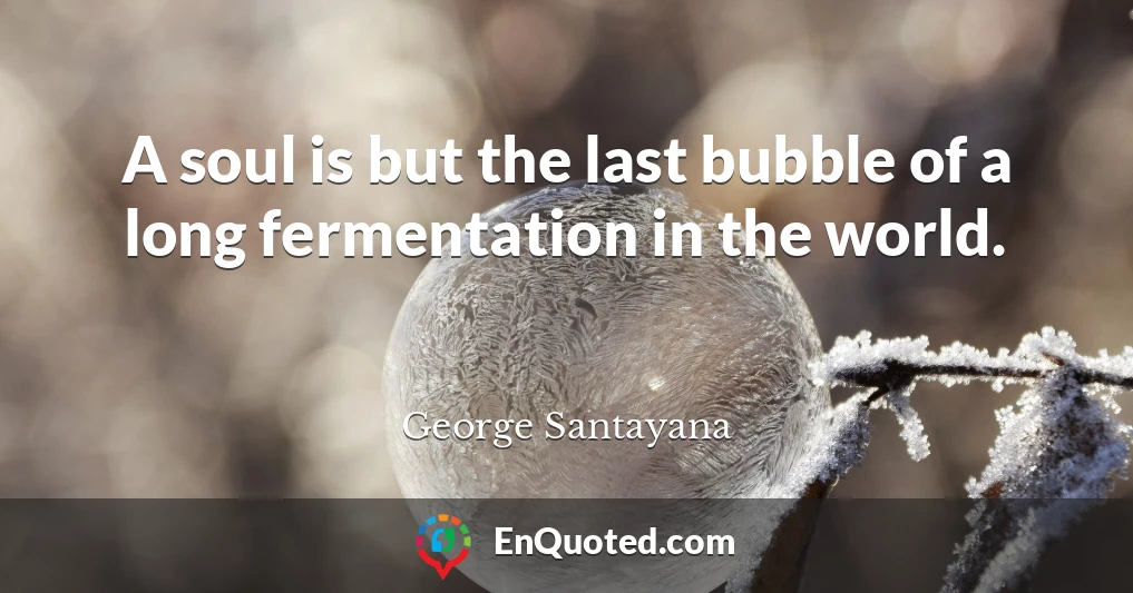 A soul is but the last bubble of a long fermentation in the world.