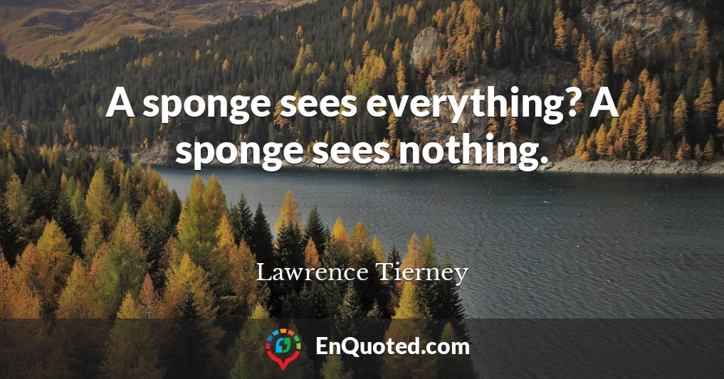 A sponge sees everything? A sponge sees nothing.